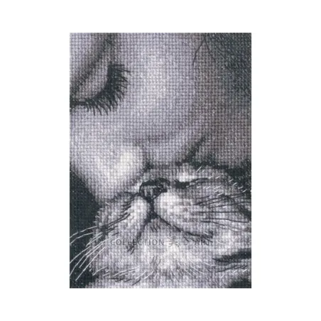 Kits de point de croix "Admirateurs" RTOC425