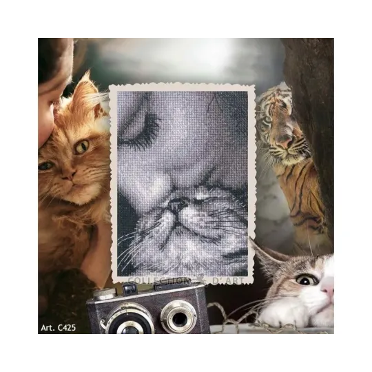 Cross-stitch kits "Admirers" RTOC425