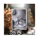 Cross-stitch kits "Admirers" RTOC425