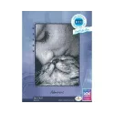 Cross-stitch kits "Admirers" RTOC425