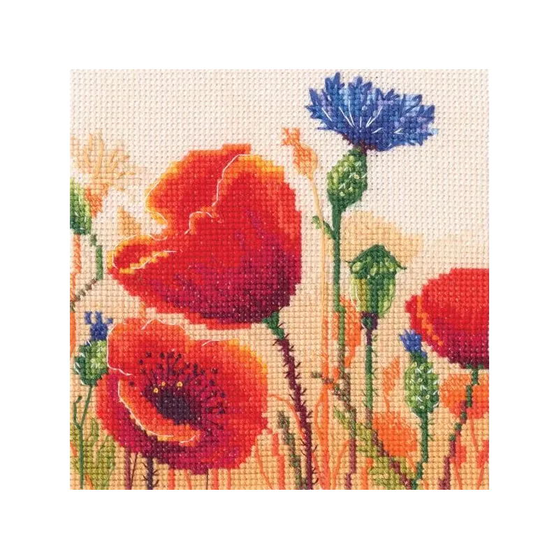 Cross-stitch kit RTOC370