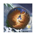Cross-stitch kit "Touching a star" RTOM951