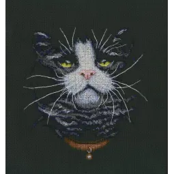 Cross-stitch kit "Cats' favourite" M576