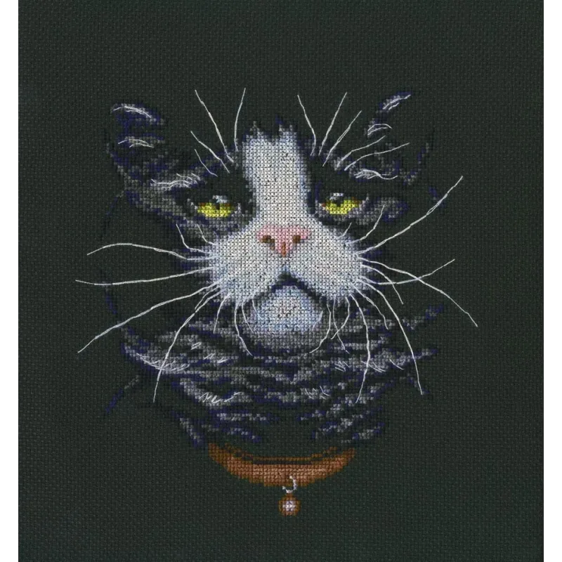 Kit point de croix "Le chat préféré" RTOM576