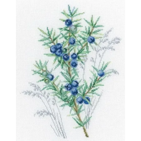 Cross-stitch kit "Juniper" M939