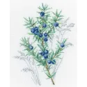 Cross-stitch kit "Juniper" M939