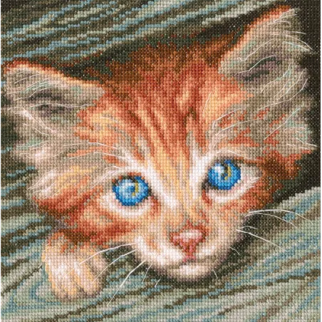 Cross-stitch kit "Fluffy observer" M710