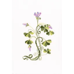 Kryželio rinkinys "Oxalis" C258