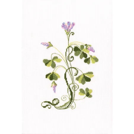 Cross-stitch kit "Oxalis" C258