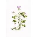 Cross-stitch kit "Oxalis" C258