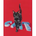 Cross-stitch kit "Cat" M794