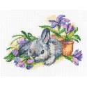 Cross-stitch kit "Eared and curious" C288