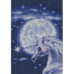 Cross-stitch kit "Symbol of Nobi" C244