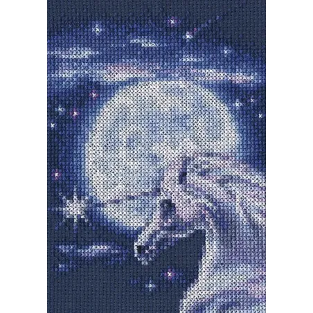 Cross-stitch kit "Symbol of Nobi" C244