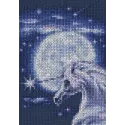 Cross-stitch kit "Symbol of Nobi" C244