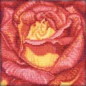 Cross-stitch kit "Red Rose" C069