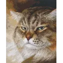Cross-stitch kit "Sly and extremely beautiful. «MACHO»" M995