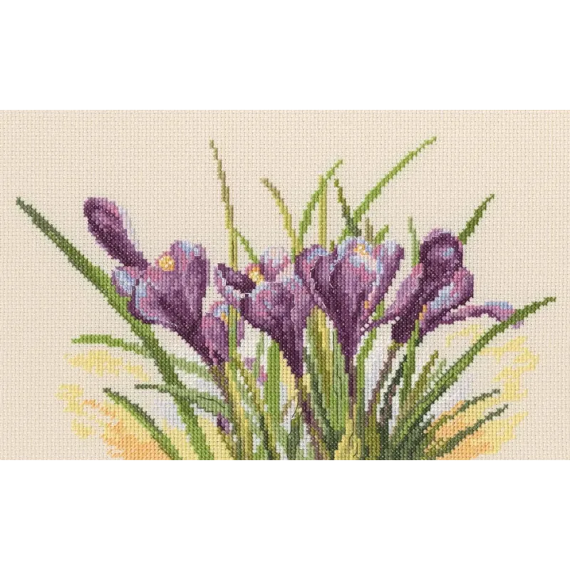 Kit point de croix "Crocus printaniers" RTOM584