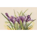 Kit point de croix "Crocus printaniers" RTOM584