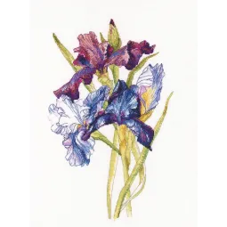 Kryželiu siuvinėjimo rinkinys "Irises rainbow" RTOM580