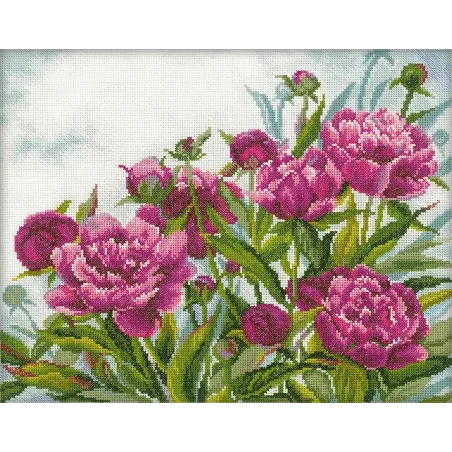 Cross-stitch kit "Peonies" M272