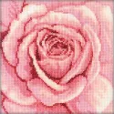 Набор для вышивания крестом "Розовая роза" C070