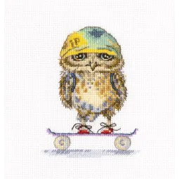 Kryželiu siuvinėjimo rinkinys „Skater“ RTOC224