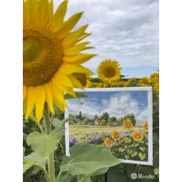 Набор для вышивания крестом