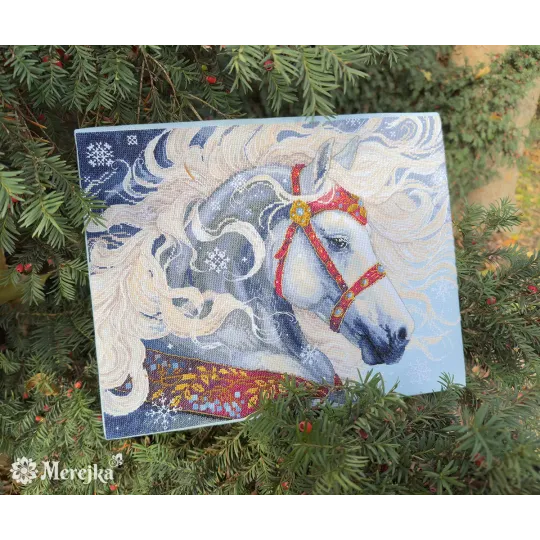 Cross stitch kit "Blizzard" 31x40 cm SK290