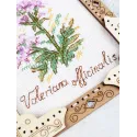 Kryžiažolių siuvinėjimas ant medinio pagrindo "Miniatiūra. Valerijonas" 13x11 cm SO-141