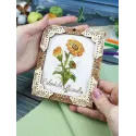 Cross-stich on wooden base "Miniature. Calendula" 13x11 cm SO-140