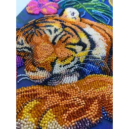 Siuvinejimo rinkinys AAB-964