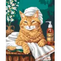 Paint by Numbers kit "Spa treatments" 40x50 cm W045 1225
