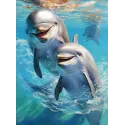 Diamond Painting with subframe "Dolphins" 30x40 cm VA805