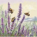 Cross stitch kit "Summer song" 18,5 х 18,5 cm SANL-27