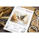 Cross Stitch Kit "Golden Flight" 33 x 25 cm SB730