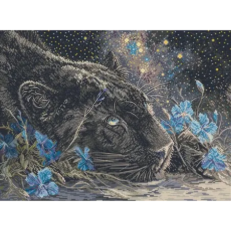 Starry Dreams 37x27cm SLETIL9984