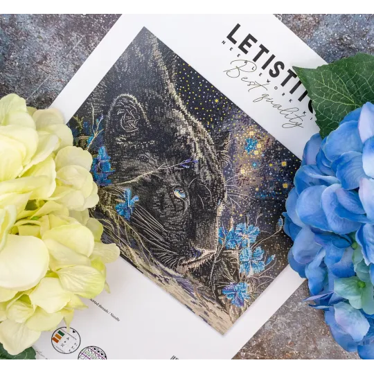 Starry Dreams 37x27cm SLETIL9984