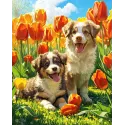 Diamond Painting kit with subframe "Puppies in tulips" 30x40 cm VA930
