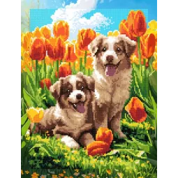 Diamond Painting kit with subframe "Puppies in tulips" 30x40 cm VA930