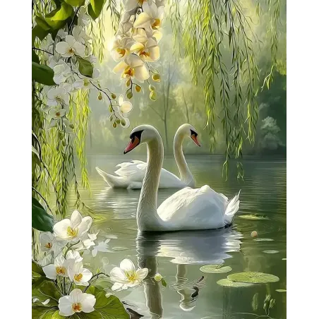 Diamond Painting kit with subframe "Swans" 30x40 cm VA923