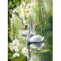 Diamond Painting kit with subframe "Swans" 30x40 cm VA923