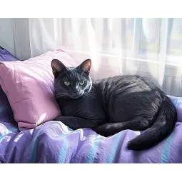 Diamond Painting kit with subframe "Cat" 30x40 cm VA918