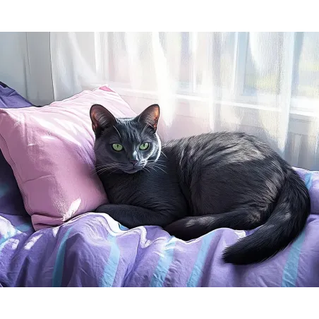 Diamond Painting Set mit Keilrahmen "Katze" 30x40 cm VA918