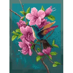 Набор для алмазной вышивки с подрамником "Колибри" 30x40 см VA912