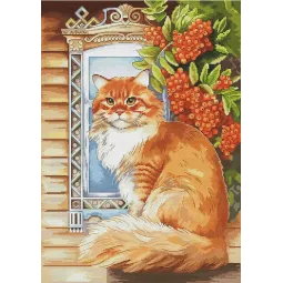 Kryželiu siuvinėjimo rinkinys "Imbiero katė" 26,5 x 37,5 cm SANR-59