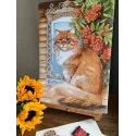 Cross stitch kit "Ginger cat" 26,5 х 37,5 cm SANR-59
