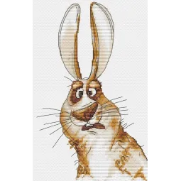 Cross stitch kit "Emotions. Bewilderment." 18,5 х 18 cm SANE-07