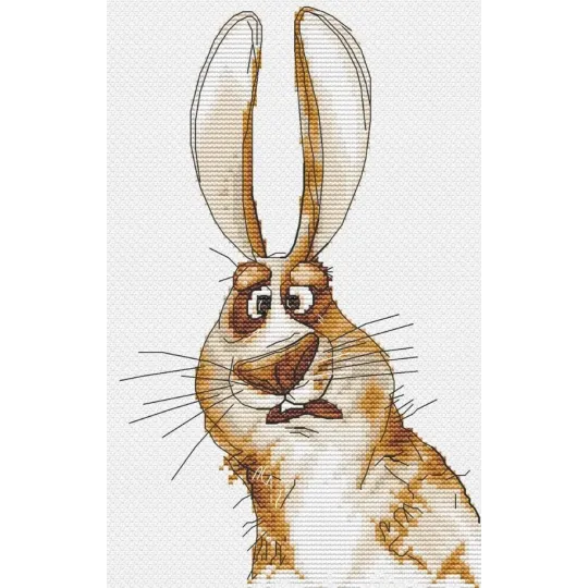 Cross stitch kit "Emotions. Bewilderment." 18,5 х 18 cm SANE-07