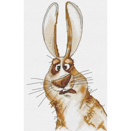 Cross stitch kit "Emotions. Bewilderment." 18,5 х 18 cm SANE-07